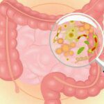 La flore intestinale est la clé de notre santé !!!