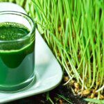 Vitalité et purification : les avantages du jus d'herbe de blé