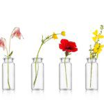 Équilibre émotionnel : les bienfaits des Fleurs de Bach