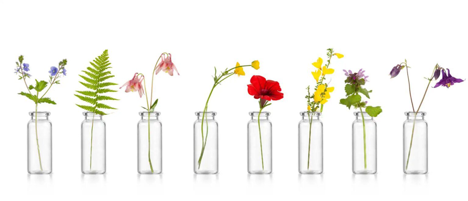 La collection complète des Fleurs de Bach