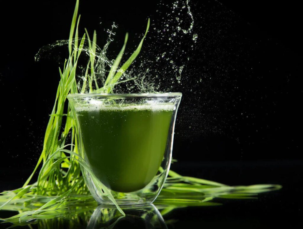 La spiruline, nutriment complet et naturel La spiruline, nutriment complet et naturel
