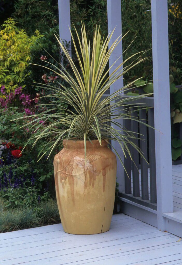 Purifier l'air intérieur avec des plantes Purifier l'air intérieur avec des plantes