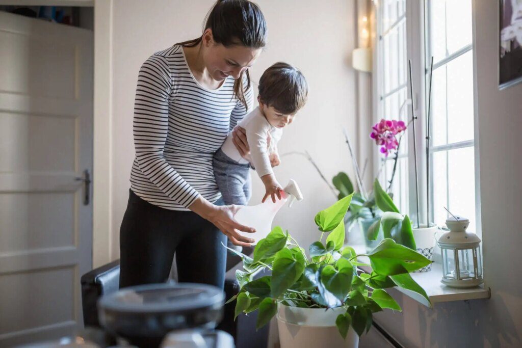 Purifier l'air intérieur avec des plantes Purifier l'air intérieur avec des plantes