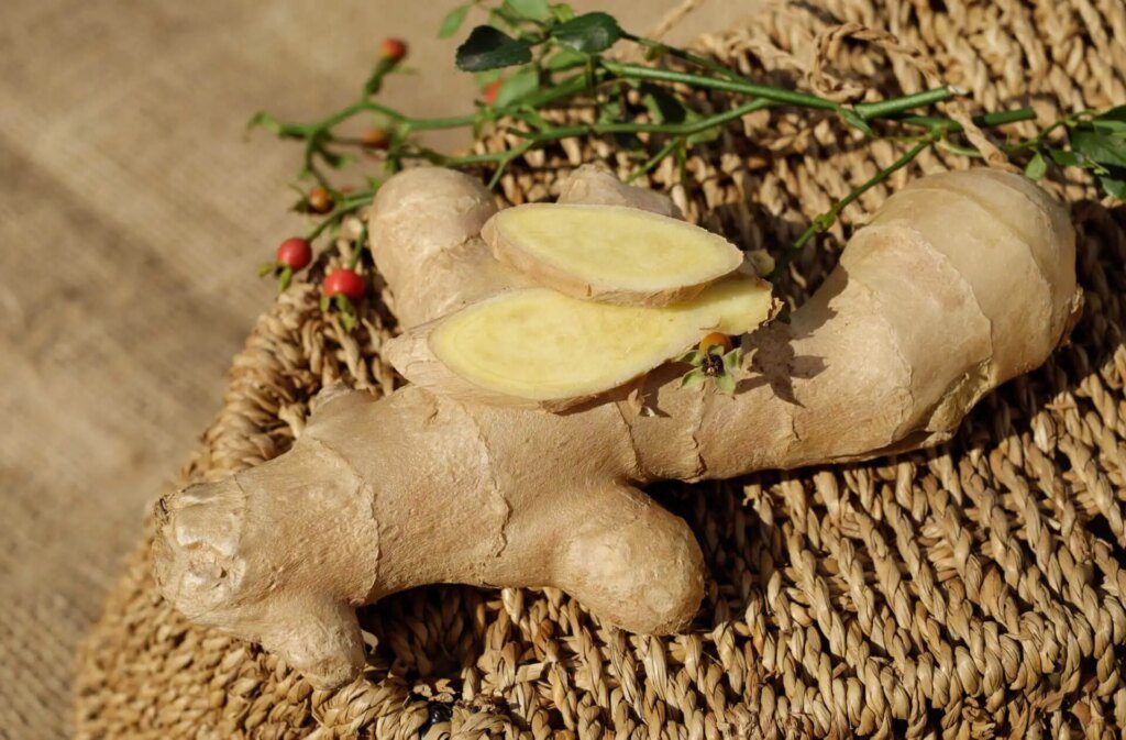 Comprendre la phytothérapie : les secrets de la médecine à base de plantes Comprendre la phytothérapie : les secrets de la médecine à base de plantes