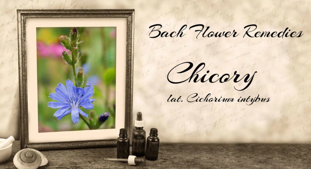 Les 38 remèdes de Bach : un outil naturel pour votre bien-être Les 38 remèdes de Bach : un outil naturel pour votre bien-être