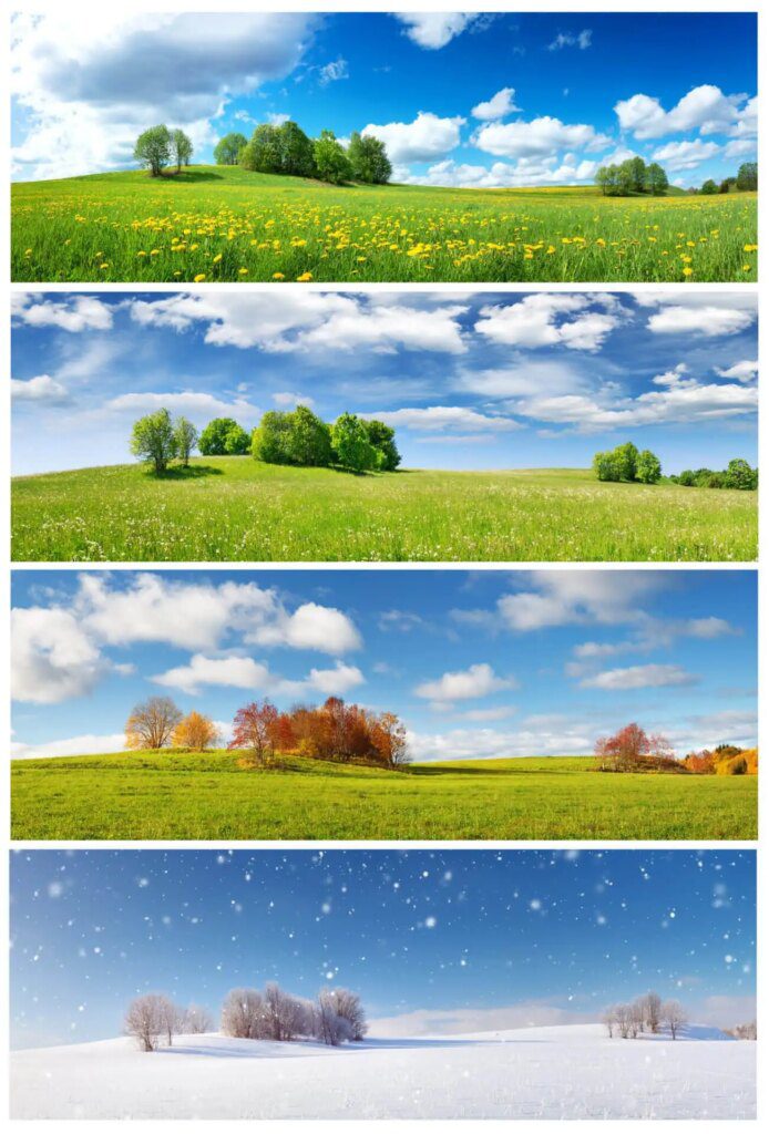 Comprendre le rôle des saisons dans les soins naturels Comprendre le rôle des saisons dans les soins naturels