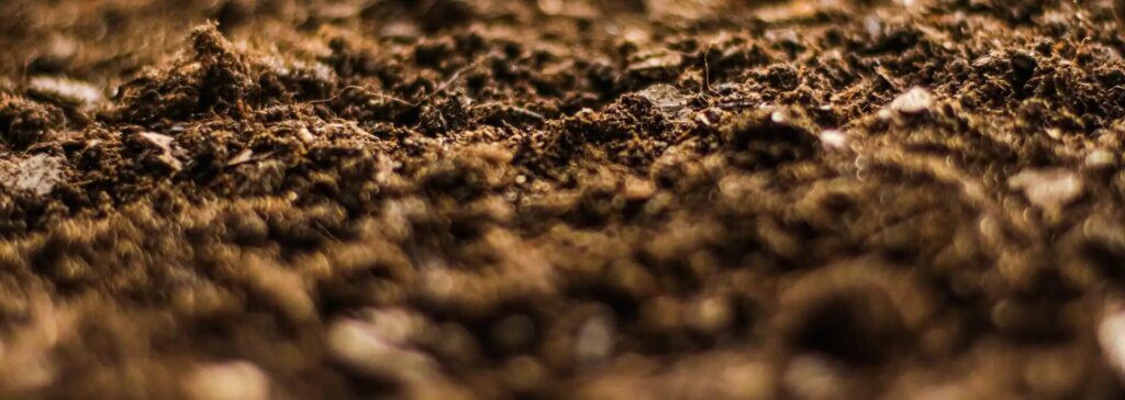 La réflexologie et les cinq éléments : comment harmoniser notre énergie La réflexologie et les cinq éléments : comment harmoniser notre énergie