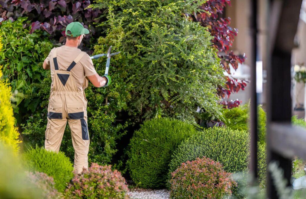 Prévenir les problèmes de santé grâce au jardinage : conseils d'experts Prévenir les problèmes de santé grâce au jardinage : conseils d'experts