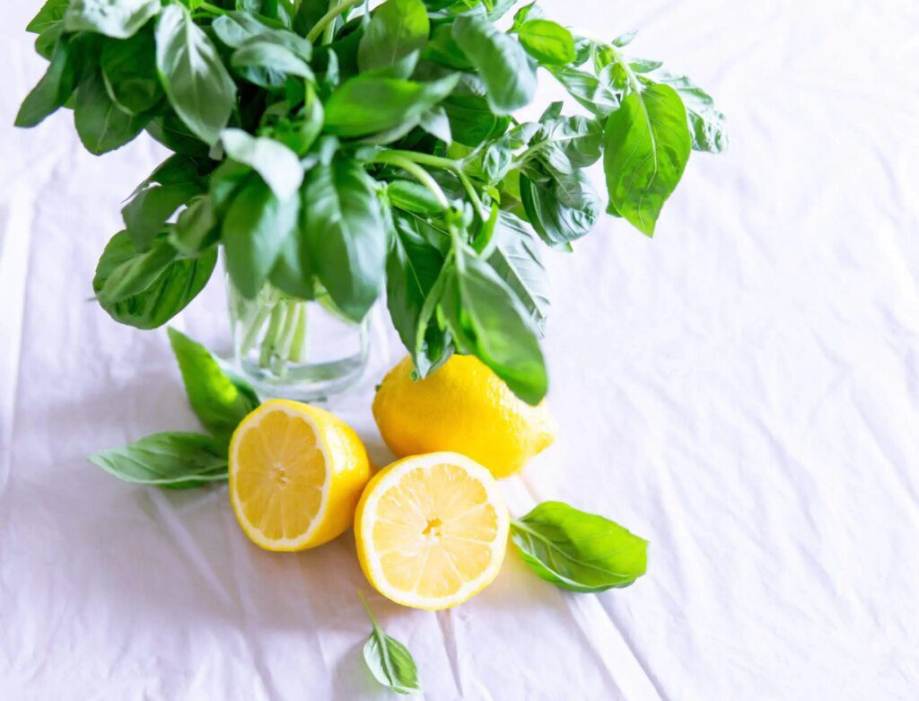 Régime citron : comment perdre du poids sans sacrifier votre énergie Régime citron : comment perdre du poids sans sacrifier votre énergie