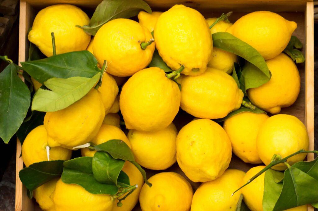 Régime citron : comment perdre du poids sans sacrifier votre énergie Régime citron : comment perdre du poids sans sacrifier votre énergie