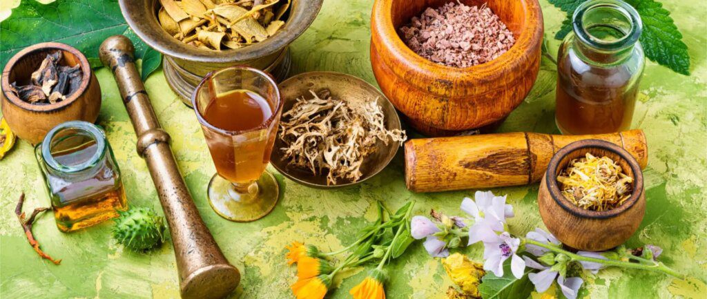 L'art ancestral de la phytothérapie : une alternative puissante à la médecine moderne L'art ancestral de la phytothérapie : une alternative puissante à la médecine moderne