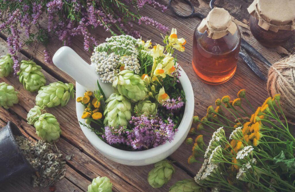 L'art ancestral de la phytothérapie : une alternative puissante à la médecine moderne L'art ancestral de la phytothérapie : une alternative puissante à la médecine moderne