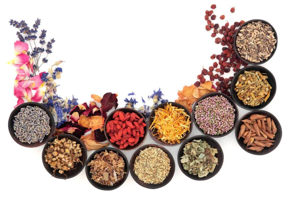L'art ancestral de la phytothérapie : une alternative puissante à la médecine moderne L'art ancestral de la phytothérapie : une alternative puissante à la médecine moderne