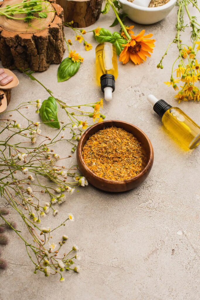 Les différentes méthodes de traitement utilisées en naturopathie Les différentes méthodes de traitement utilisées en naturopathie