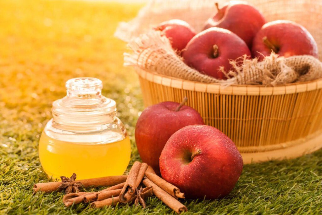 Découvrez les vertus du vinaigre de cidre pour perdre du poids efficacement Découvrez les vertus du vinaigre de cidre pour perdre du poids efficacement