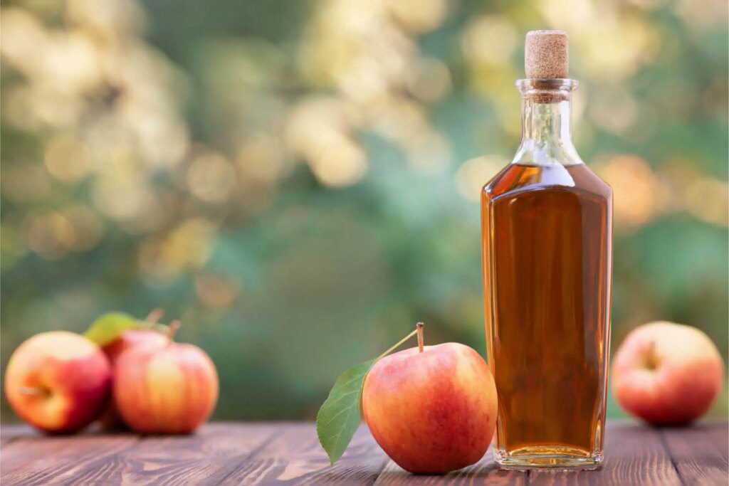 Découvrez les vertus du vinaigre de cidre pour perdre du poids efficacement Découvrez les vertus du vinaigre de cidre pour perdre du poids efficacement