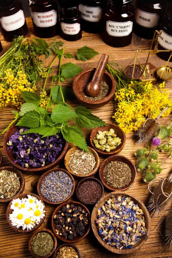 Les bienfaits de la phytothérapie pour une santé au top de l'énergie Les bienfaits de la phytothérapie pour une santé au top de l'énergie