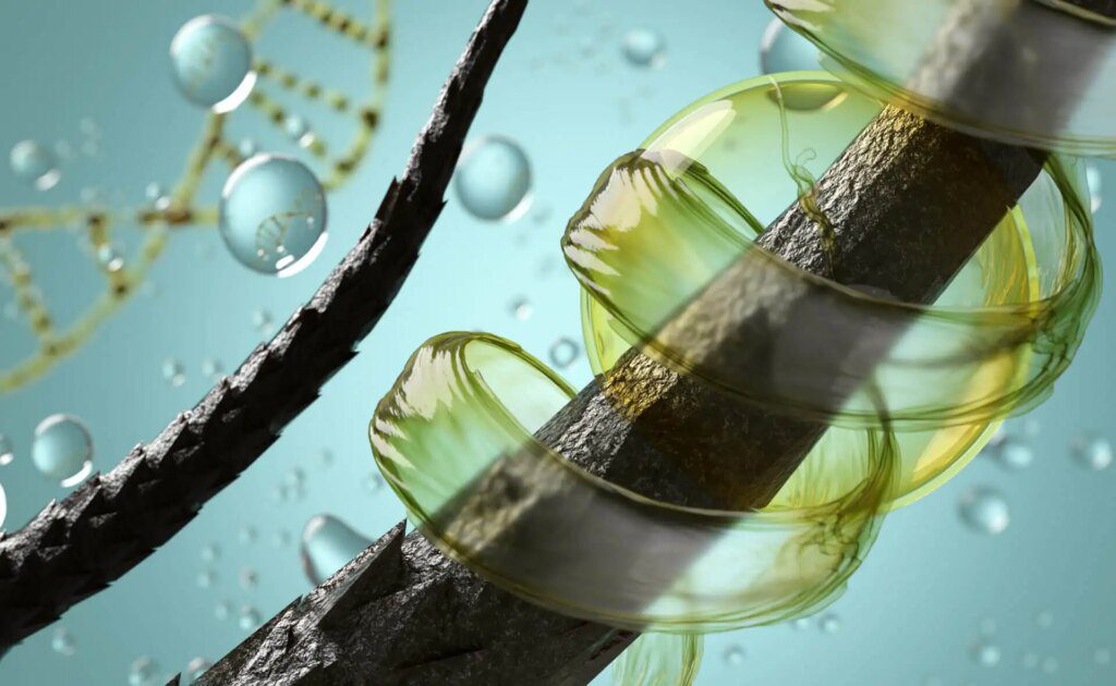 Découvrez comment l'huile de ricin favorise la pousse rapide des cheveux Découvrez comment l'huile de ricin favorise la pousse rapide des cheveux