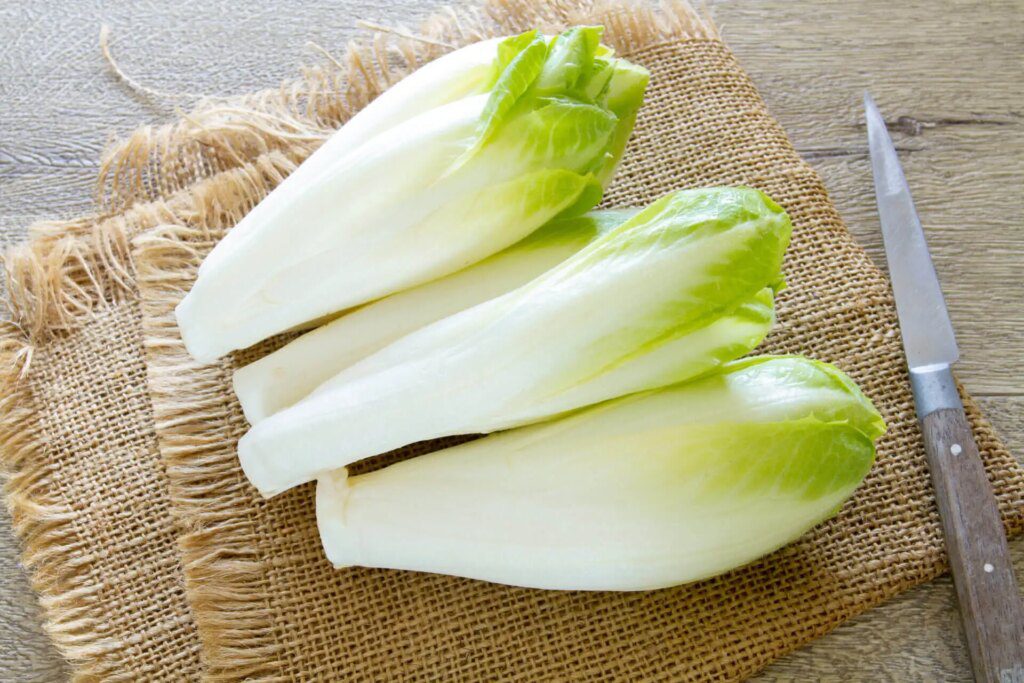 Les bienfaits insoupçonnés des endives pour votre santé