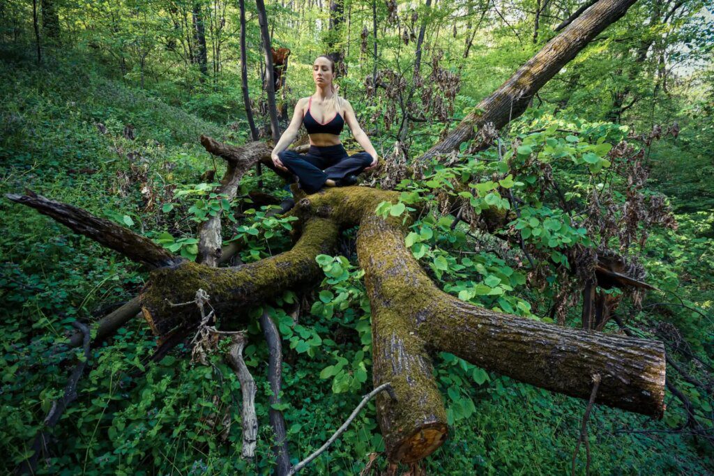 Méditation et Access Consciousness : une synergie puissante Méditation et Access Consciousness : une synergie puissante