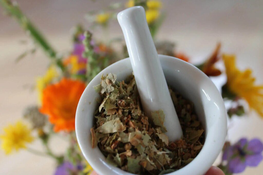Guide complet sur la naturopathie : découvrez les secrets d'une santé naturelle et équilibrée Guide complet sur la naturopathie : découvrez les secrets d'une santé naturelle et équilibrée