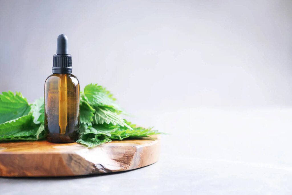 Guide complet sur la naturopathie : découvrez les secrets d'une santé naturelle et équilibrée Guide complet sur la naturopathie : découvrez les secrets d'une santé naturelle et équilibrée