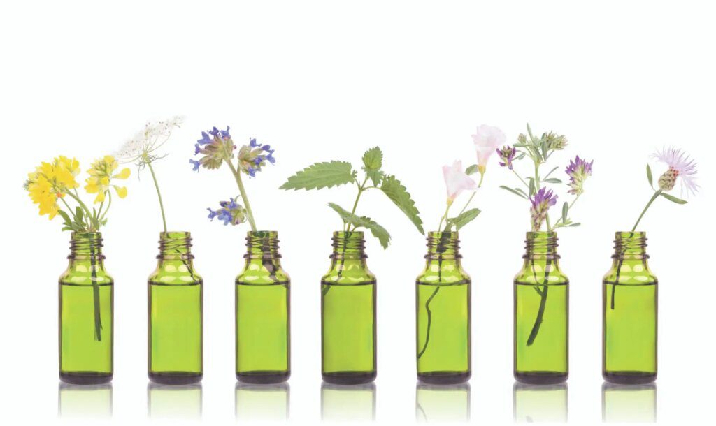 Les bienfaits de la médecine naturelle Les bienfaits de la médecine naturelle