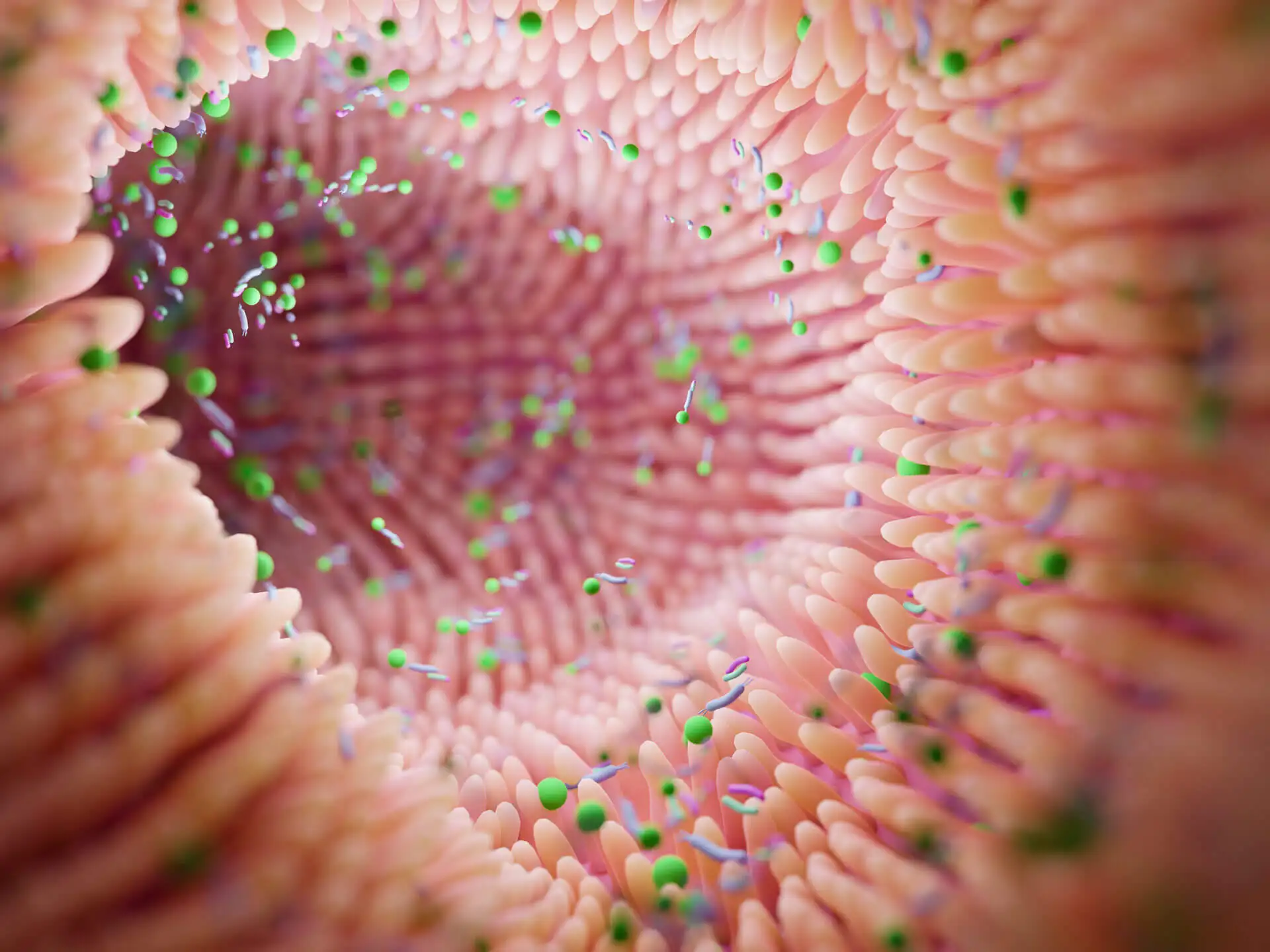 Optimisez votre microbiote avec des probiotiques et des prébiotiques