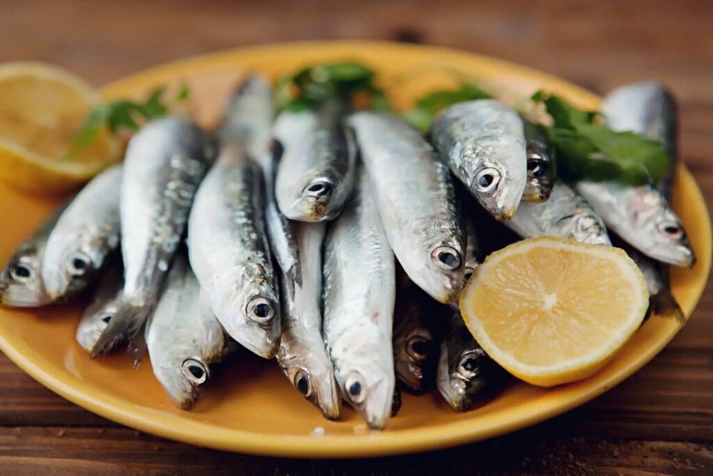 Pourquoi les sardines sont-elles bonnes pour les os et la santé en général ? Pourquoi les sardines sont-elles bonnes pour les os et la santé en général ?