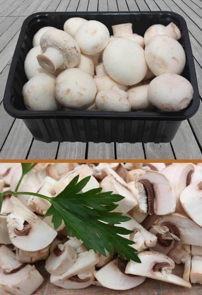 Profitez des bienfaits des champignons de Paris au quotidien Profitez des bienfaits des champignons de Paris au quotidien