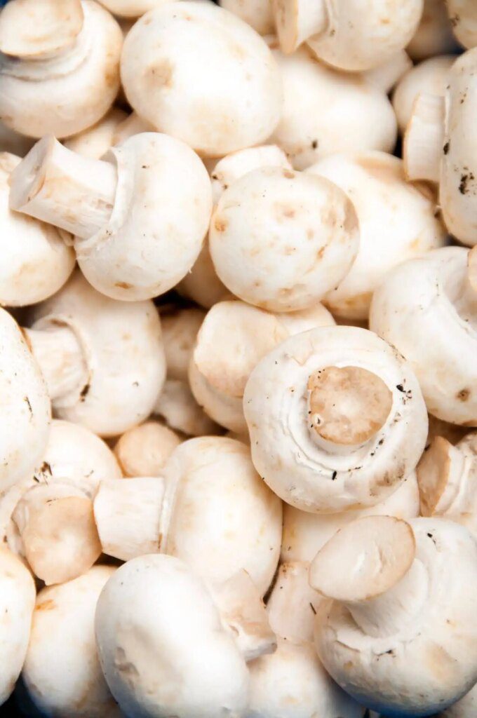 Profitez des bienfaits des champignons de Paris au quotidien Profitez des bienfaits des champignons de Paris au quotidien