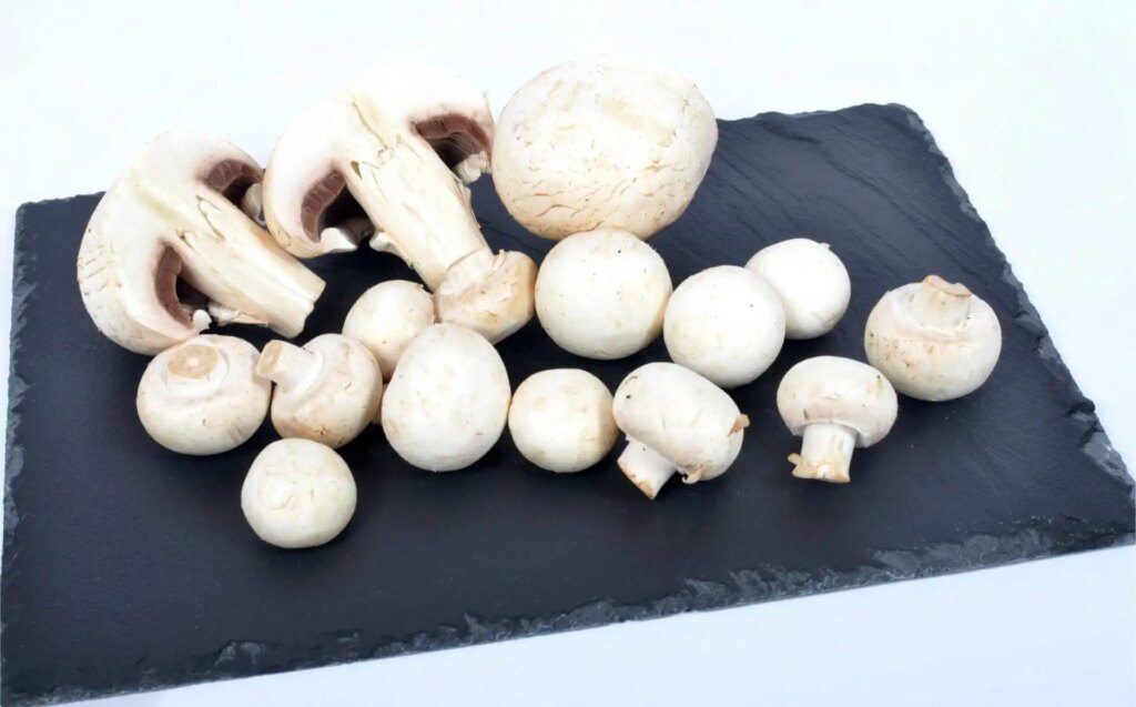 Profitez des bienfaits des champignons de Paris au quotidien Profitez des bienfaits des champignons de Paris au quotidien