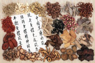 Un regard holistique sur le corps humain : les principes fondamentaux de la Médecine Traditionnelle Chinoise