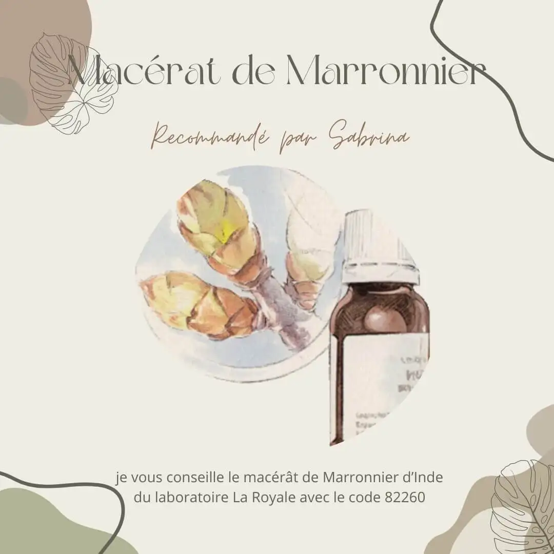 Macérat de marronnier