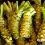 Les avantages pour la santé du wasabi : découvrez ses propriétés curatives
