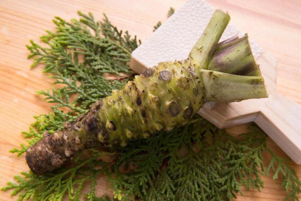 Les avantages pour la santé du wasabi : découvrez ses propriétés curatives Les avantages pour la santé du wasabi : découvrez ses propriétés curatives