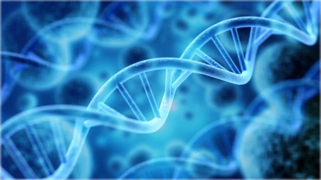 Du renouvellement cellulaire à la régénération complète : explorez les merveilles de notre organisme ! Du renouvellement cellulaire à la régénération complète : explorez les merveilles de notre organisme !