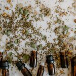 Herboristerie familiale : guide complet pour une utilisation sûre des plantes à la maison