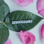 7 plantes adaptogènes pour l'équilibre hormonal : remèdes naturels