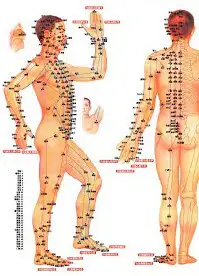 Les méridiens d'énergie essentiels à l'équilibre du corps Les méridiens d'énergie essentiels à l'équilibre du corps