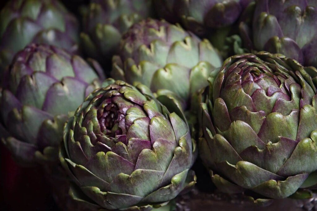 Les alliés naturels de votre foie : l'artichaut et le chrysantellum Les alliés naturels de votre foie : l'artichaut et le chrysantellum