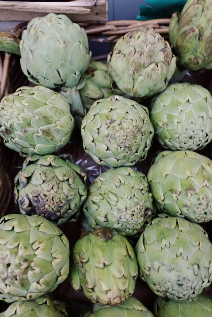 Les alliés naturels de votre foie : l'artichaut et le chrysantellum Les alliés naturels de votre foie : l'artichaut et le chrysantellum