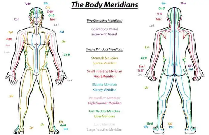 Les méridiens d'énergie essentiels à l'équilibre du corps Les méridiens d'énergie essentiels à l'équilibre du corps