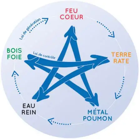 Les méridiens d'énergie essentiels à l'équilibre du corps Les méridiens d'énergie essentiels à l'équilibre du corps