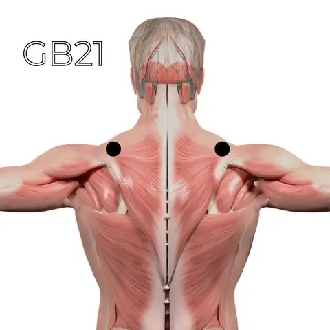 Les points d'acupuncture : clés pour dénouer les nœuds énergétiques Les points d'acupuncture : clés pour dénouer les nœuds énergétiques
