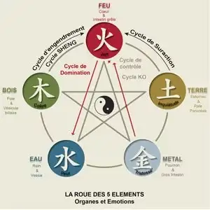Comment la médecine traditionnelle chinoise harmonise le flux d'énergie Comment la médecine traditionnelle chinoise harmonise le flux d'énergie