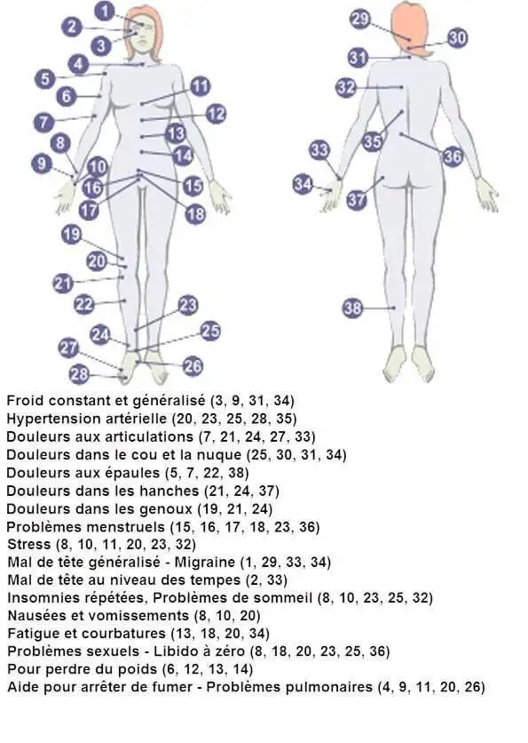 Les points d'acupuncture : clés pour dénouer les nœuds énergétiques Les points d'acupuncture : clés pour dénouer les nœuds énergétiques