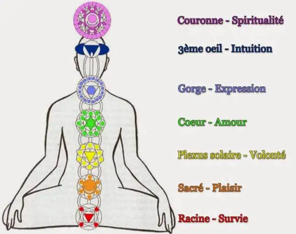 Découvrez comment l'énergie se déplace à travers les chakras Découvrez comment l'énergie se déplace à travers les chakras