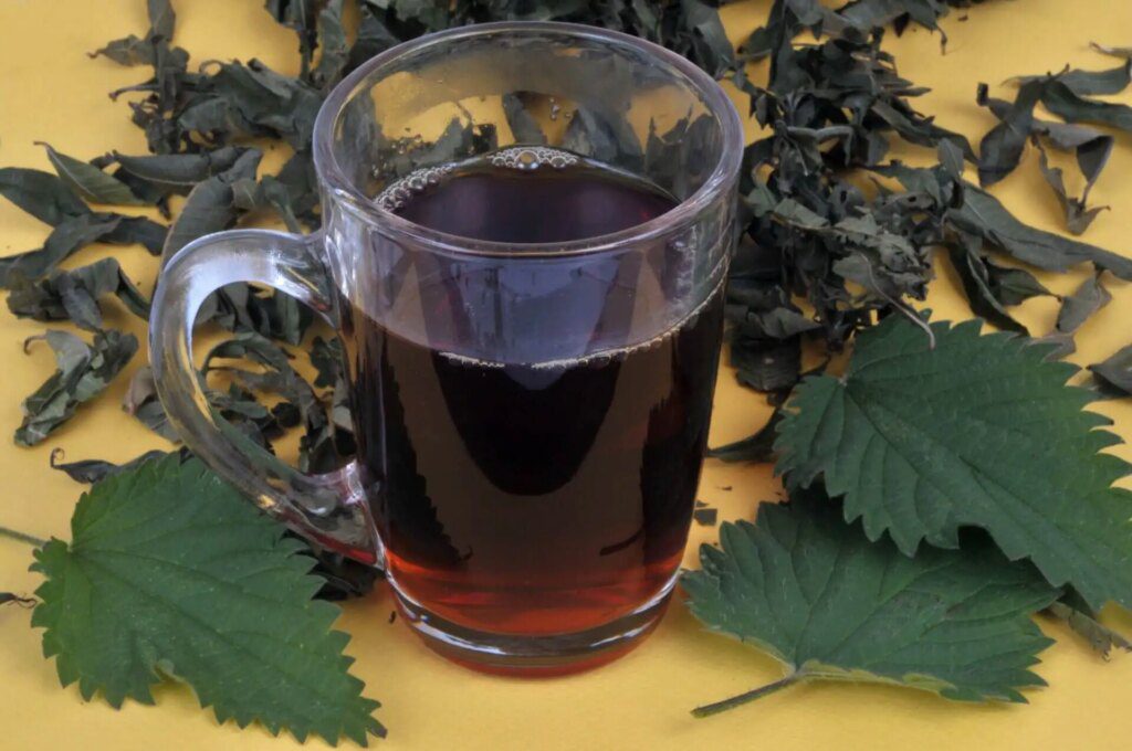 Les multiples bienfaits de la tisane à l'origan : préparation et ingrédients de base