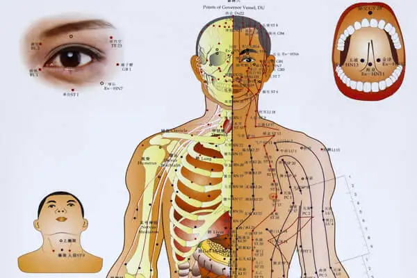 Les points d'acupuncture : clés pour dénouer les nœuds énergétiques Les points d'acupuncture : clés pour dénouer les nœuds énergétiques